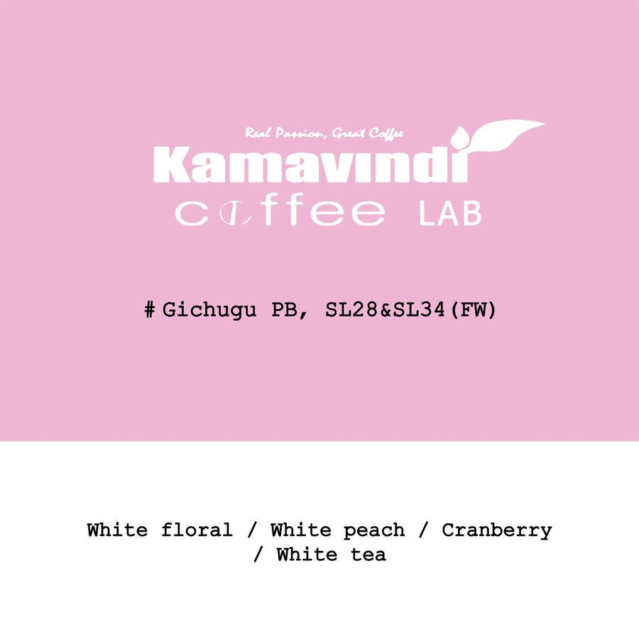 Goût & Co - Kamavindi/Gichigu SL28&SL34 PB Washed | Kenya