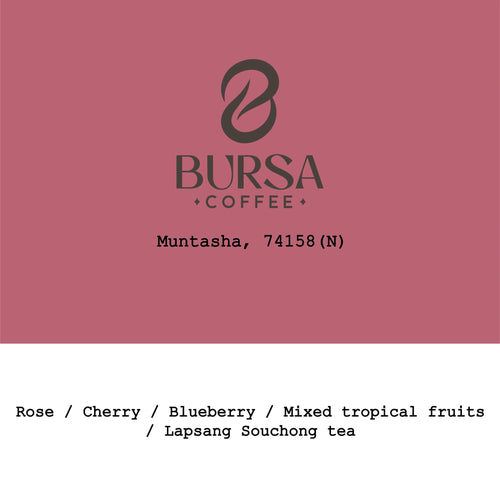 Goût & Co - 2026 New Crop Ethiopia Muntasha 74158 Natural
