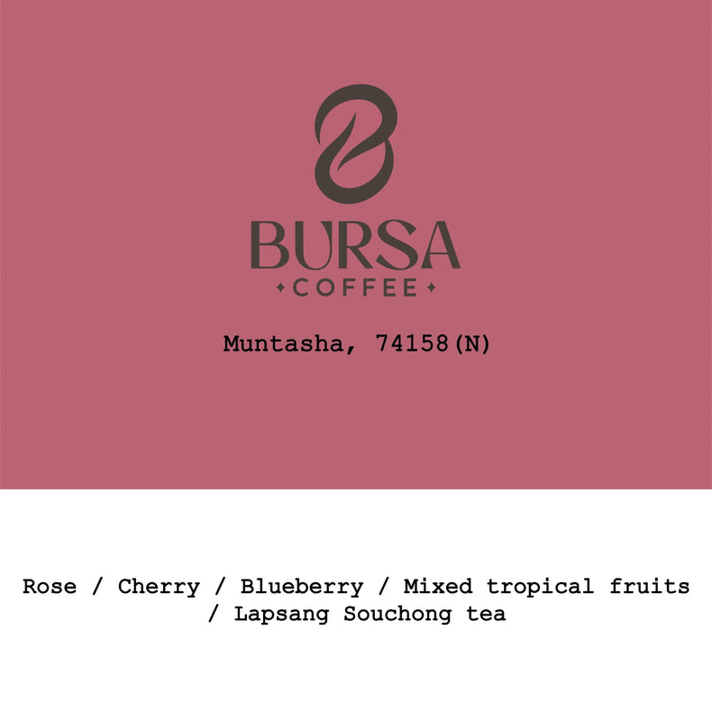Goût & Co - 2026 New Crop Ethiopia Muntasha 74158 Natural