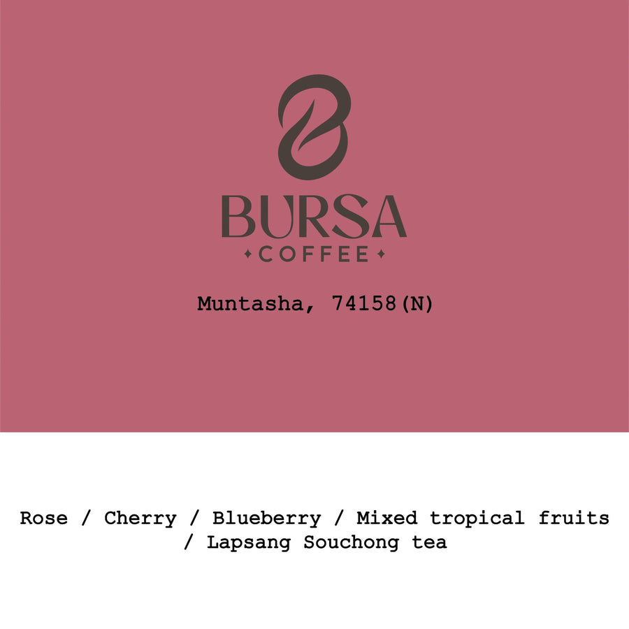 Goût & Co - 2026 New Crop Ethiopia Muntasha 74158 Natural