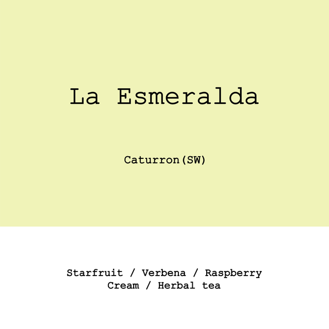 Goût & Co - Colombia Acevedo Huila, La Esmeralda Caturron Semi-Washed - Sigma Coffee UK