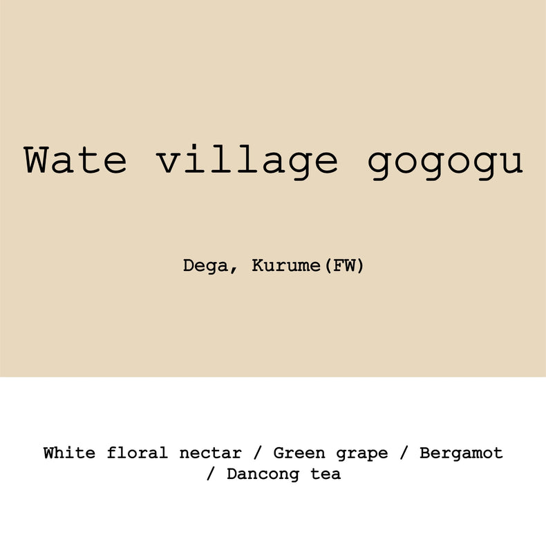 Goût & Co - Wate Village Gogogu Dega&Kurume G1 Washed | Ethiopia