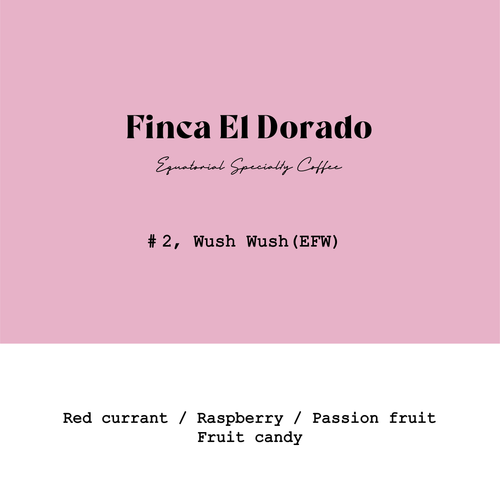 Goût & Co - El Dorado Wush Wush Lot2 Extra Fermented Washed | Ecuador