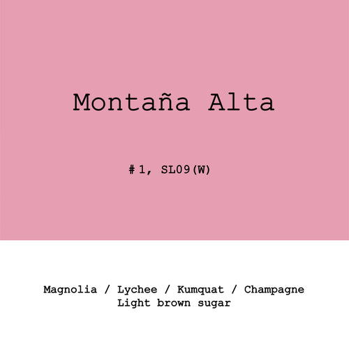 Goût & Co - Montaña Alta, SL09 Lot #1 Washed | Peru