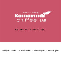 Goût & Co - Kenya Kamavindi-Gatura Station, SL28 & SL34 Slow Dry Natural (2026 New Crop)