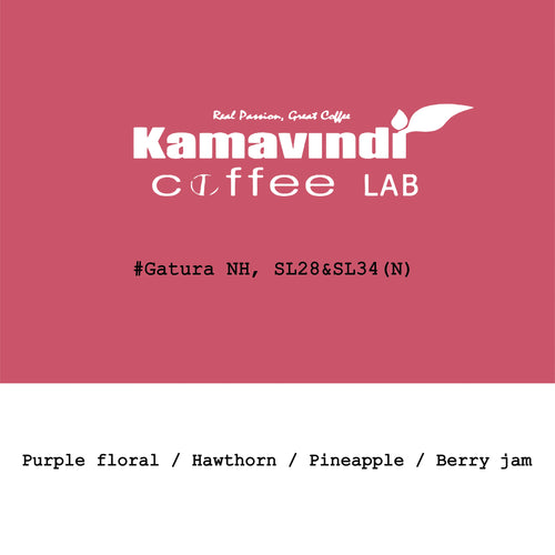 Goût & Co - Kenya Kamavindi-Gatura Station, SL28 & SL34 Slow Dry Natural (2026 New Crop)