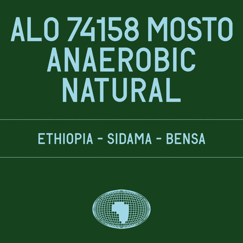 Datura Coffee - Alo 74158 Mosto Anaerobic Natural | Ethiopia