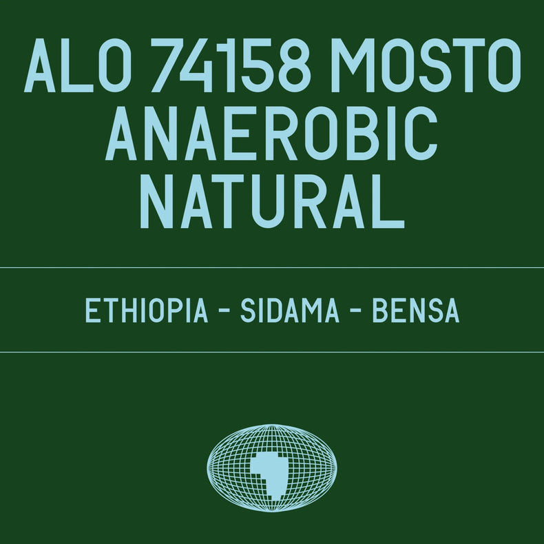 Datura Coffee - Alo 74158 Mosto Anaerobic Natural | Ethiopia