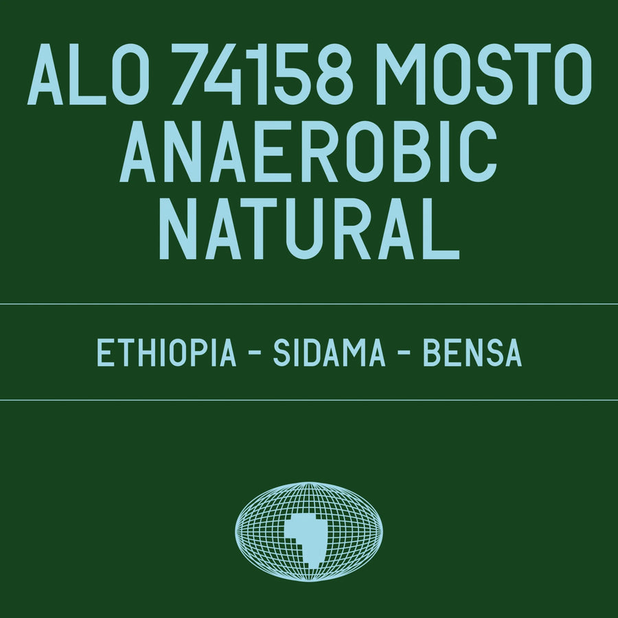 Datura Coffee - Alo 74158 Mosto Anaerobic Natural | Ethiopia