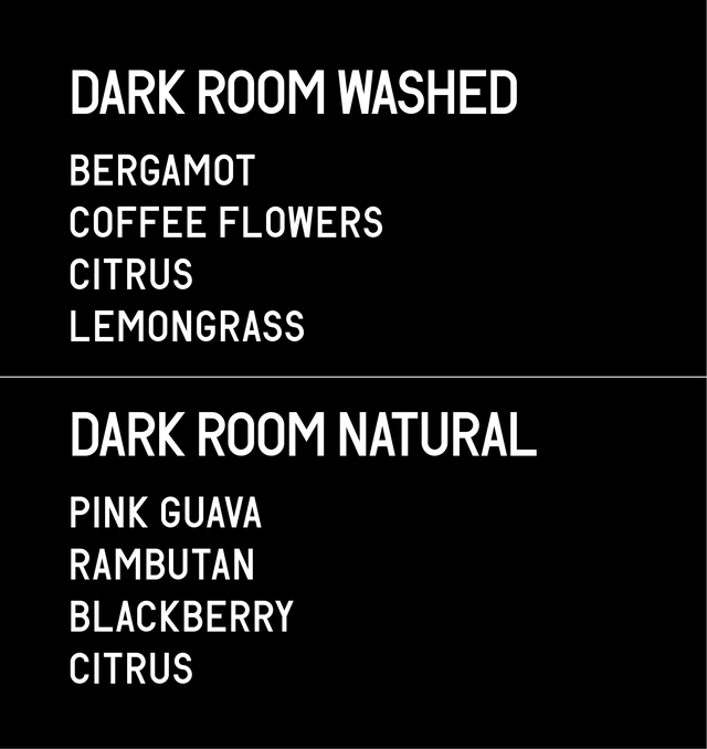 Datura | Alo Coffee Dark Room Washed & Natural (2×25g)