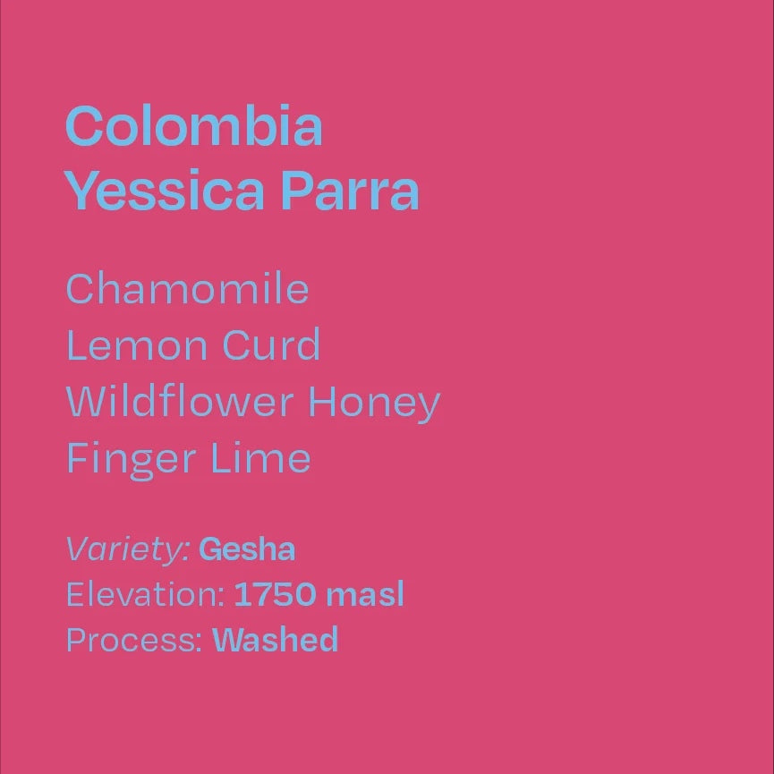 Helm Coffee Roasters - Yessica Parra Washed Gesha, New Season | Colombia