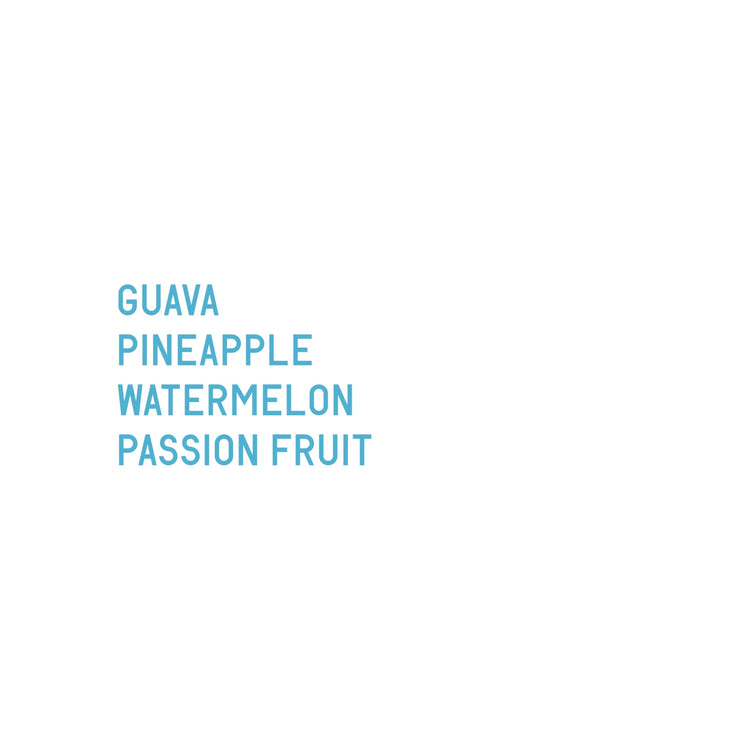 Datura Coffee - Lost Origin X Finca Santa Teresa Gesha Natural