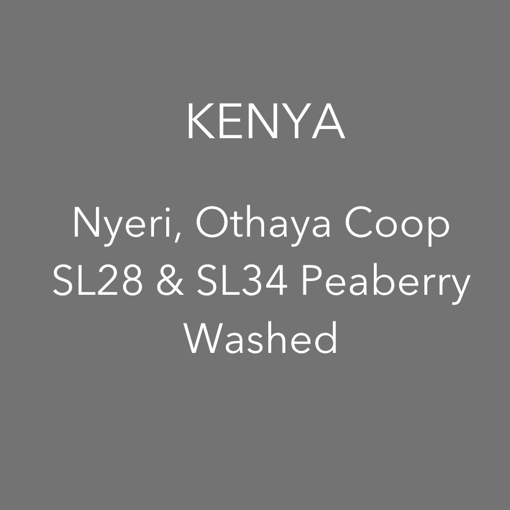 OMA - Nyeri Gatugi Peaberry, Washed | Kenya