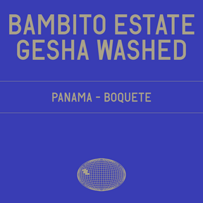 Datura | Bambito Estate Gesha Washed (100g) - Sigma Coffee UK