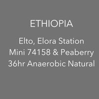 OMA - Elto Elora, Mini 74158 36hr Anaerobic Natural | Ethiopia