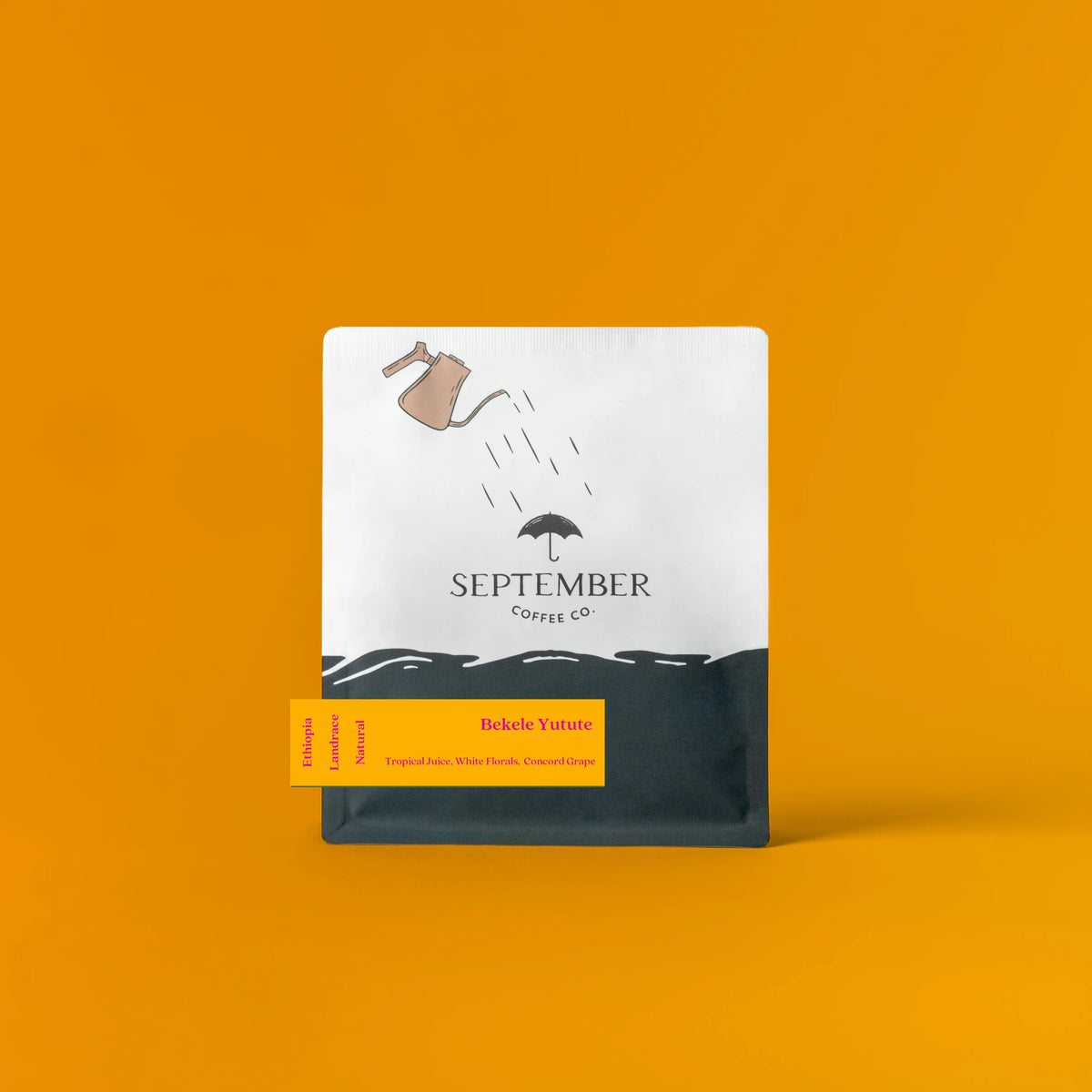 September - Bekele Yutute, Natural Landrace | Ethiopia - Sigma Coffee UK
