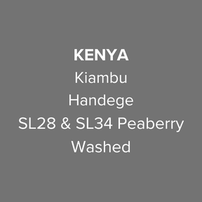 OMA - Handege, SL28 & SL34 Peaberry Washed | Kenya - Sigma Coffee UK