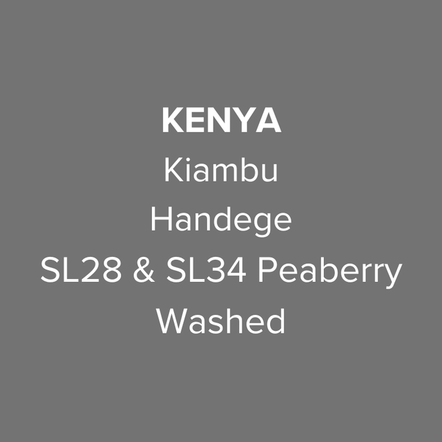 OMA - Handege, SL28 & SL34 Peaberry Washed | Kenya - Sigma Coffee UK