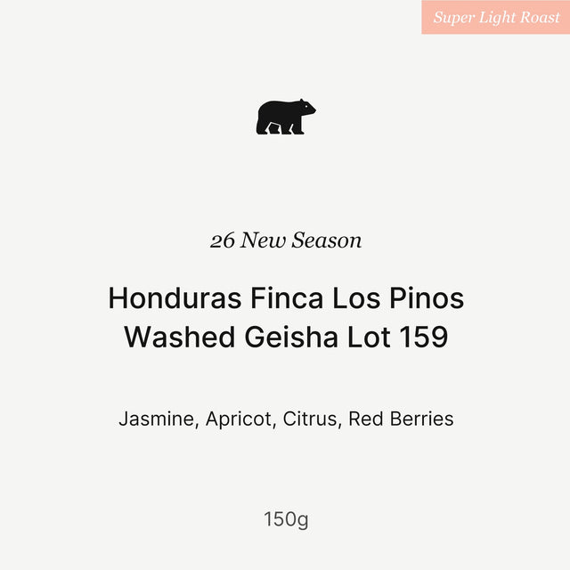 Big Sur - 26 New Season  Finca Los Pinos Washed Geisha Lot 159 | Honduras