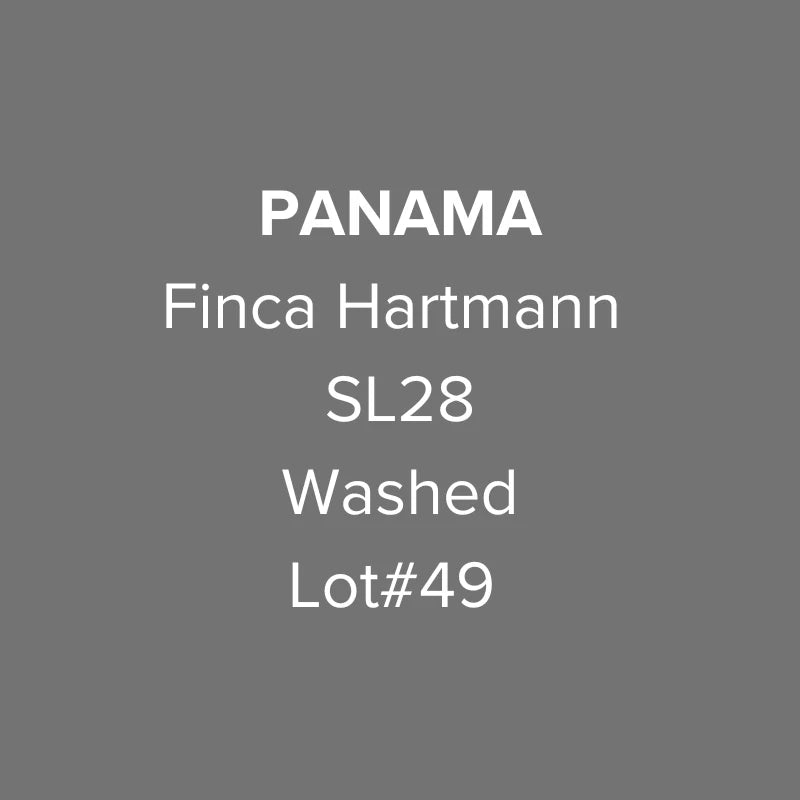 OMA - Finca Hartmann, SL28 Lot #49 Washed | Panama