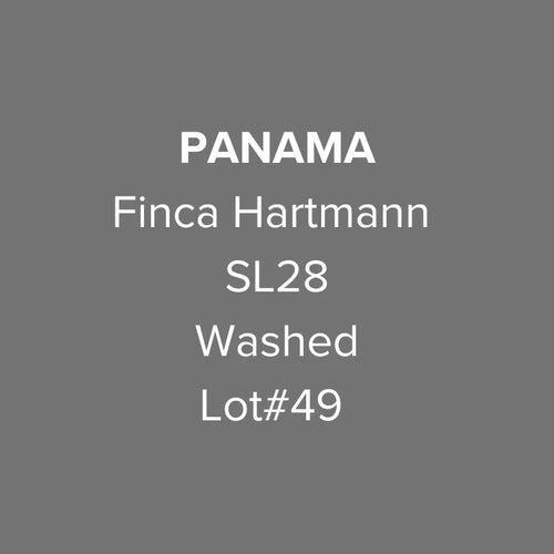 OMA - Finca Hartmann, SL28 Lot #49 Washed | Panama