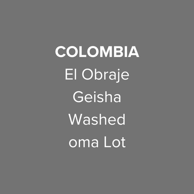 OMA - El Obraje, Geisha Washed Oma Lot | Colombia - Sigma Coffee UK