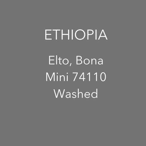 OMA - Elto Bona, Mini 74110 Washed | Ethiopia - Sigma Coffee UK