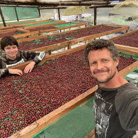 September - Pepe Jijón - Ty-oxy Washed (Late Harvest)