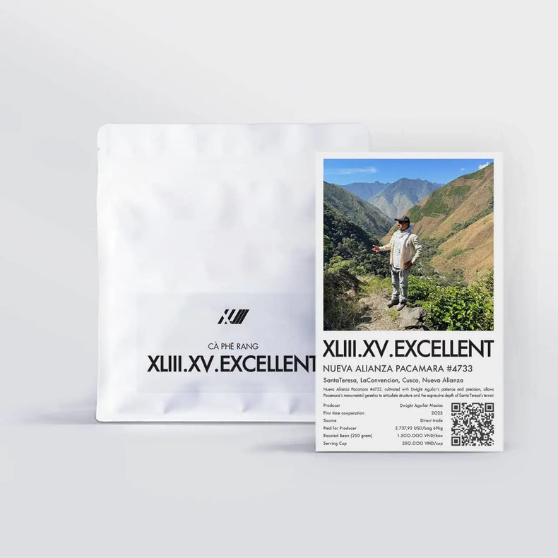 XLIII Coffee - Nueva Alianza Washed Pacamara #4733 | Peru