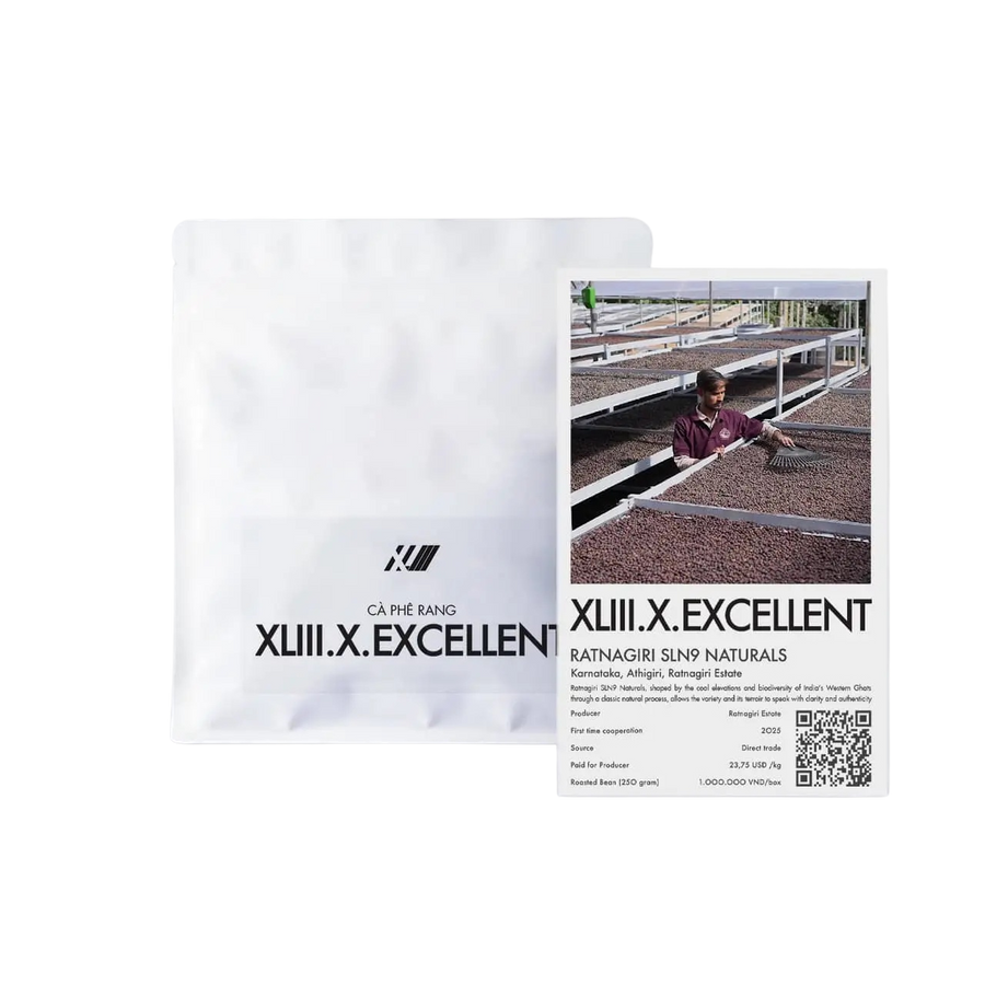 XLIII Coffee - Ratnagiri Estate SLN9 Natural | India