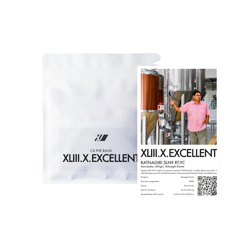 XLIII Coffee - Ratnagiri SLN9 'RT-YC' Culture Natural | India