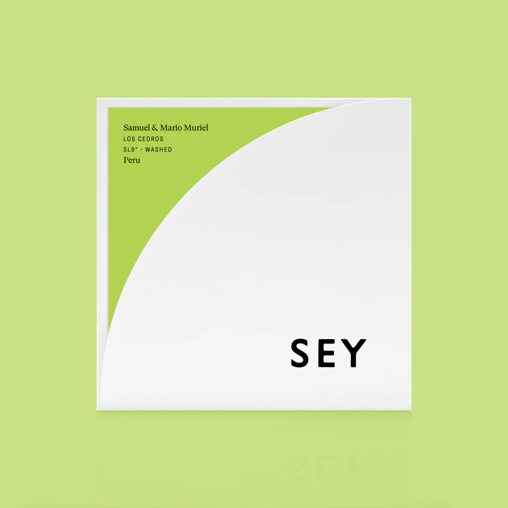 SEY -  Samuel & Mario Muriel - Los Cedros - SL9* - Washed | Peru