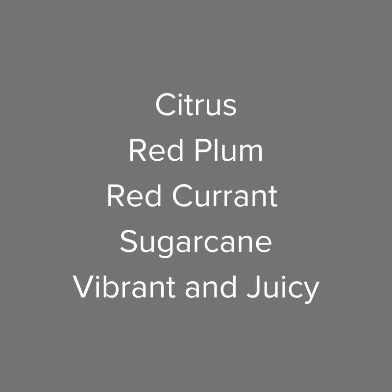 OMA - Uklili AA TOP SL28 & SL34 Washed | Kenya