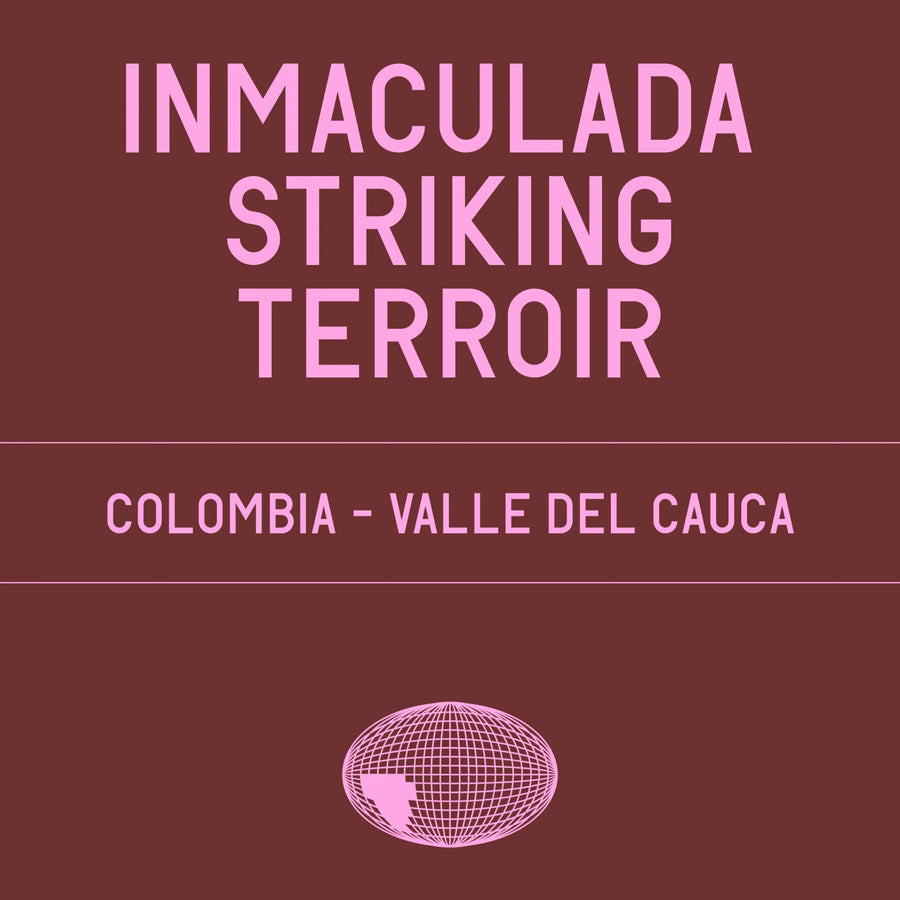 Datura Coffee - Inmaculada Striking Terroir Gesha Natural - Nitrogen Flushed | Colombia