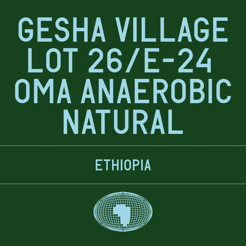 Datura Coffee - Gesha Village - Lot 26/E-24 Oma Anaerobic Natural