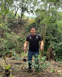 Moonwake - Chevas Coffee Estate - Washed DRD Gesha 9501H