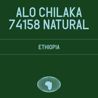 Datura | Alo Chilaka 74158 Natural (200g)