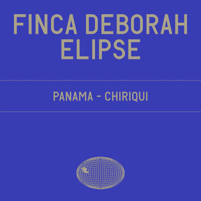 Datura | Finca Deborah Elipse (100g) - Sigma Coffee UK