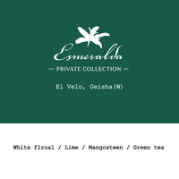 Goût & Co - Panama - La Esmeralda El Velo Gesha Washed