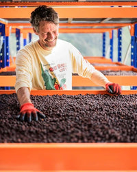 September - Pepe Jijón - Ty-oxy Washed (Late Harvest)