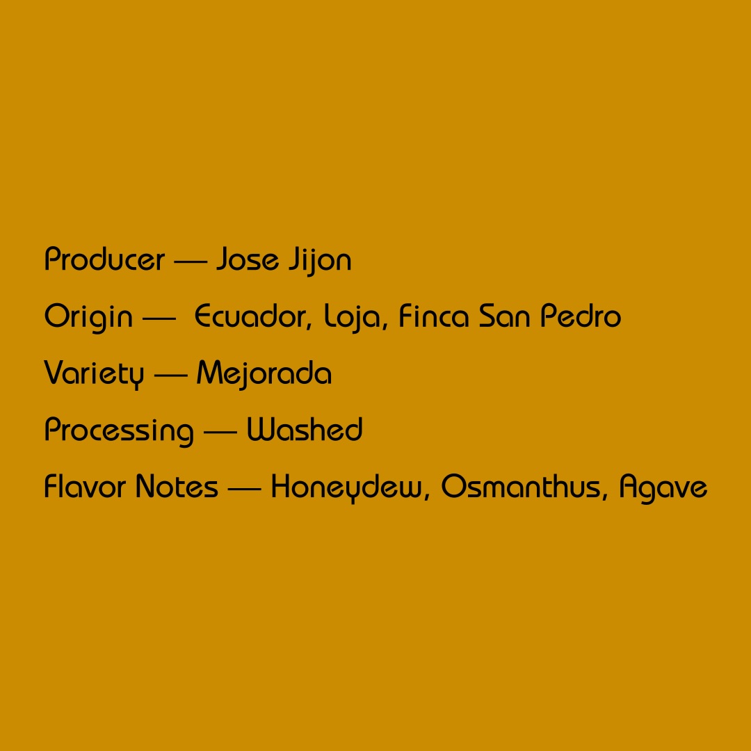 Mirra - Jose Jijon, Washed Mejorado | Ecuador - Sigma Coffee UK