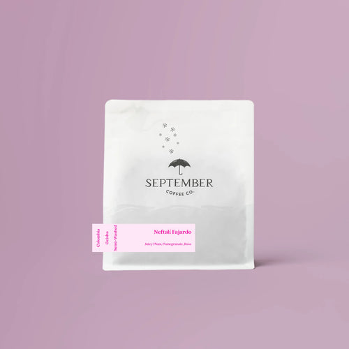 September Coffee Co. - Neftalí Fajardo - Semi-Washed Gesha | Colombia