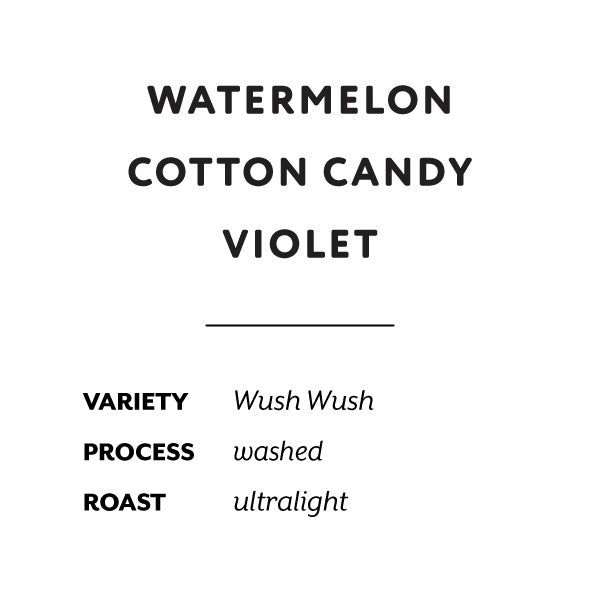 H&S Coffee Roasters - Faver Ninco, Washed Wush Wush [Ultralight] | Colombia - Sigma Coffee UK
