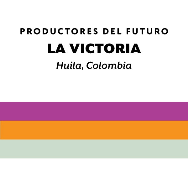 H&S Coffee Roasters - La Victoria, Washed [Ultralight] | Colombia