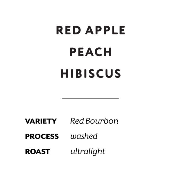 H&S Coffee Roasters - Gitega 861, Washed [Ultralight] | Rwanda - Sigma Coffee UK