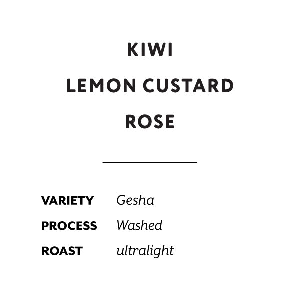 H&S Coffee Roasters - Juan Peña Gesha | Ecuador