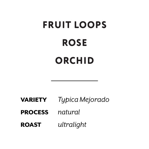 H&S Coffee Roasters - Juan Peña Natural Mejorado [Ultralight] | Ecuador
