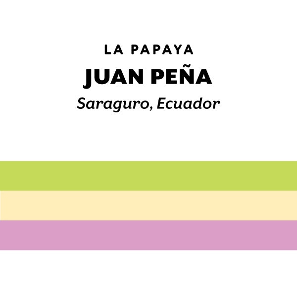 H&S Coffee Roasters - Juan Peña Mejorado Washed [Ultralight] | Ecuador