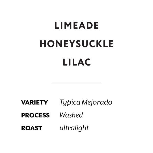 H&S Coffee Roasters - Juan Peña Mejorado Washed [Ultralight] | Ecuador