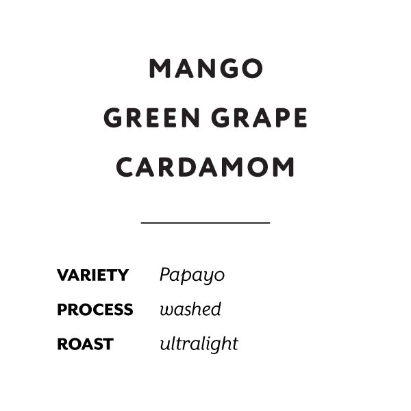 H&S Coffee Roasters - Felipe Arcila Washed Papayo  [Ultralight] | Colombia